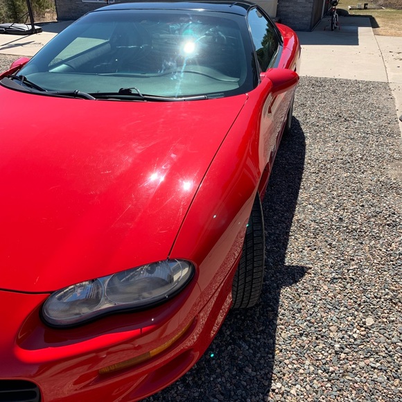 Meet your Posher, Tandy - Picture 3 of 4